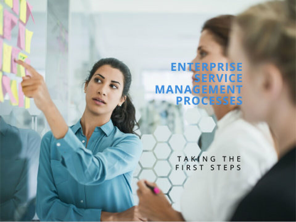 EcholoN Blog - ESM - Enterprise Service Management first steps - processes
